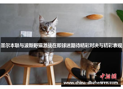 墨尔本联与波斯野猫激战在即球迷期待精彩对决与精彩表现